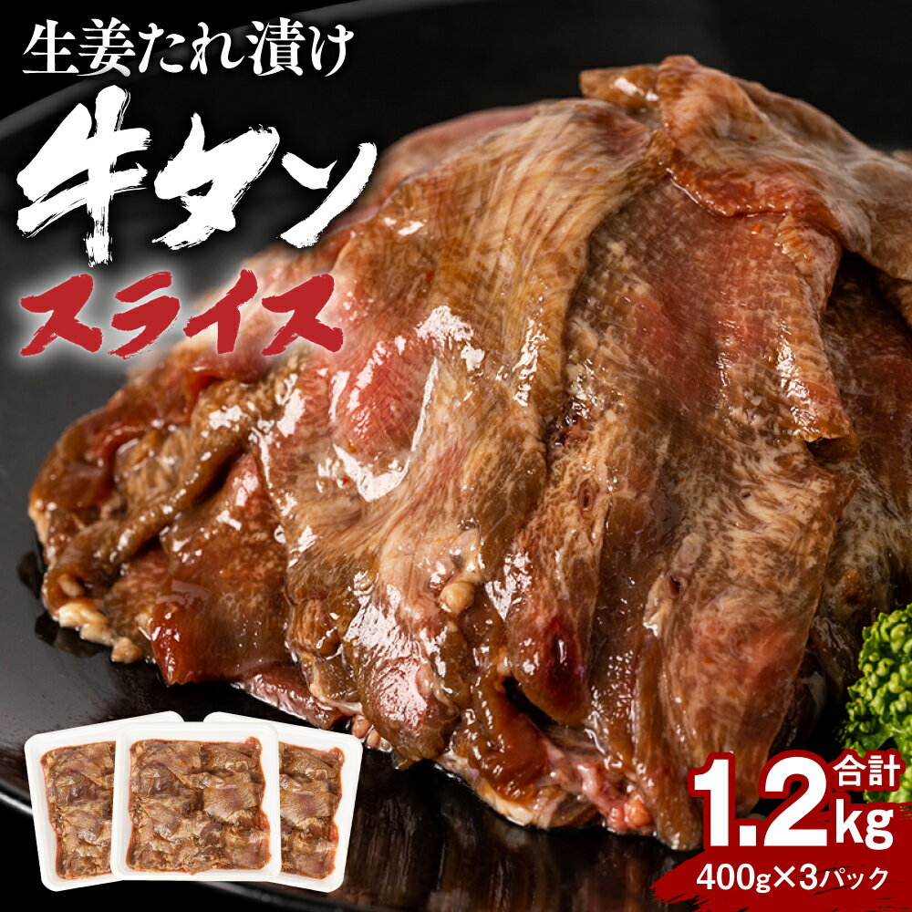 【ふるさと納税】東陽町産 生姜たれ漬け 牛タンスライス 合計1.2kg 400g×3パック 生姜 たれ漬け タレ 漬け 牛タン タン スライス 薄切り お肉 牛肉 味付け肉 味付き肉 惣菜 焼くだけ 冷凍 小分け 送料無料のサムネイル