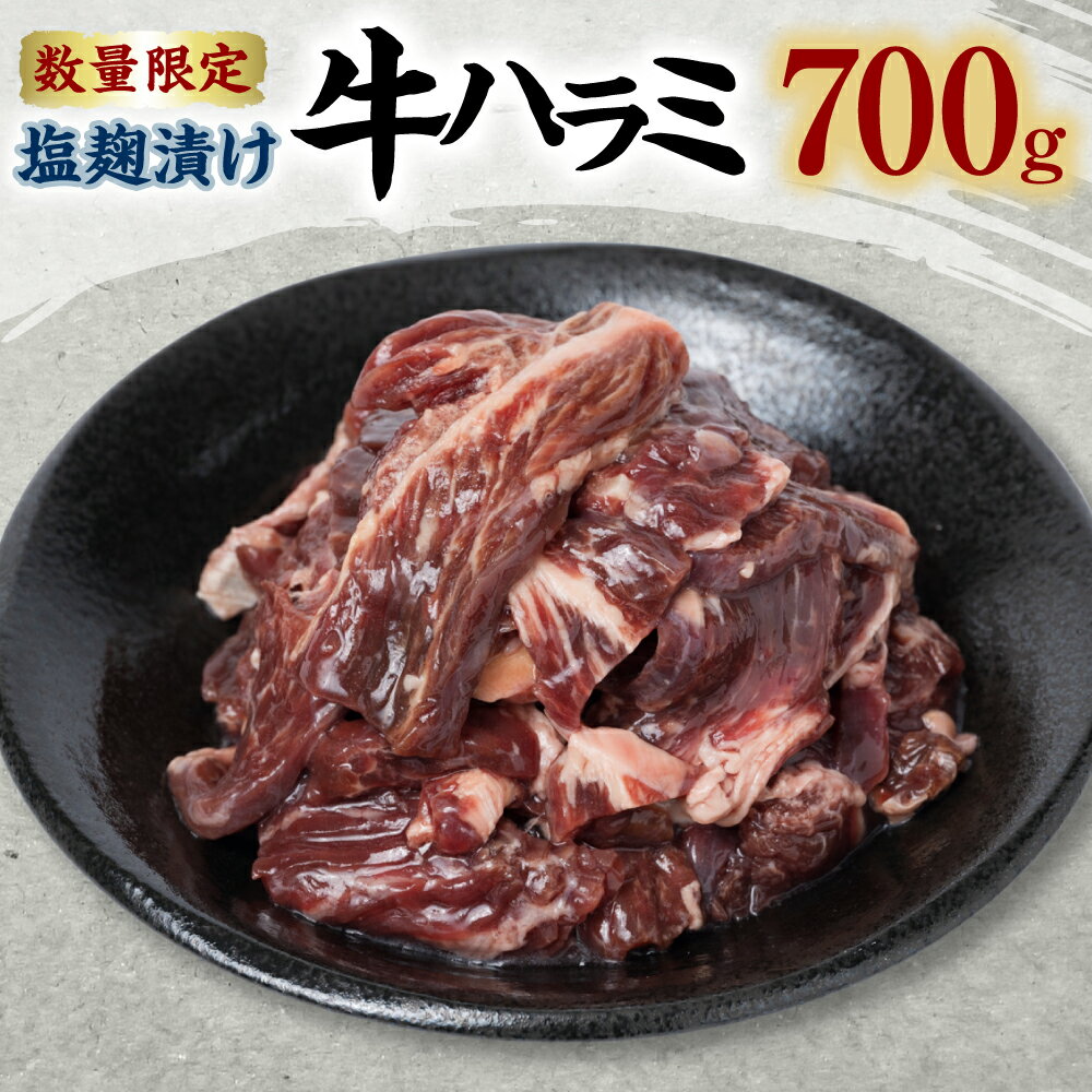 牛肉(ハラミ)人気ランク3位　口コミ数「48件」評価「3.71」「【ふるさと納税】【数量限定】塩麹漬け 牛ハラミ 700g 牛肉 お肉 味付き 焼肉 BBQ 焼き肉 焼くだけ 簡単調理 惣菜 おかず お取り寄せ グルメ 冷凍 送料無料」