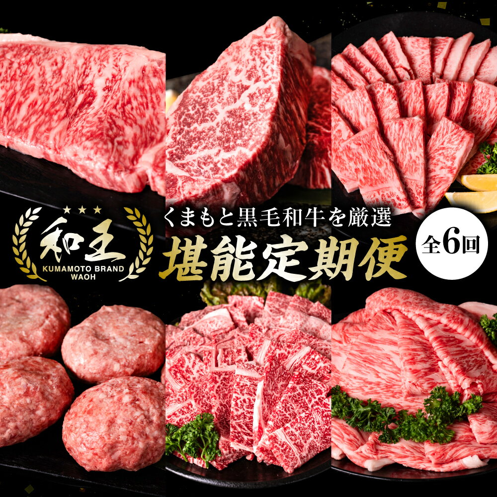 [6回定期便]くまもと黒毛和牛を厳選 和王堪能定期便 牛肉 くまもと黒毛和牛 厳選 和王 お肉 ステーキ サーロイン ヒレ ロース 焼肉 ハンバーグ 赤身 黒毛和牛 ブランド牛 九州 熊本県 八代市 冷凍 送料無料