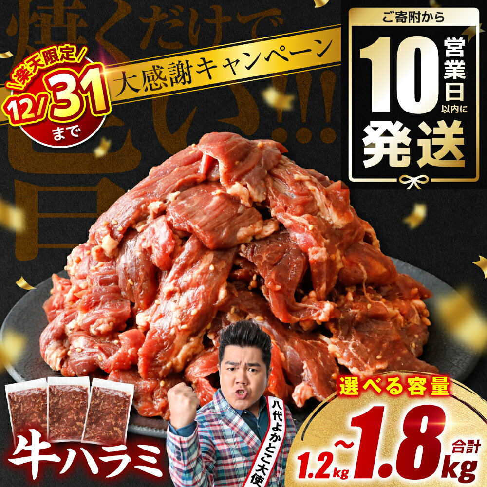【ふるさと納税】＼楽天限定／ 訳あり 牛肉 ハラミ 焼肉 1.2kg～1.8kg 12月31日までの期間限定寄附金額 キャンペーン 【選べる内容量・発送月】牛肉 ハラミ焼肉 牛ハラミ ハラミ切り落とし ハラミ丼 焼肉 タレ漬け ご家庭向け 真空 小分け 冷凍 スピード発送 送料無料のサムネイル