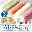 【ふるさと納税】くまもと アイスキャンディ 10本セット 八代市 アイス ギフト 詰め合わせ スイーツ アイスクリーム お取り寄せ お取り寄せスイーツ 熊本産 ...