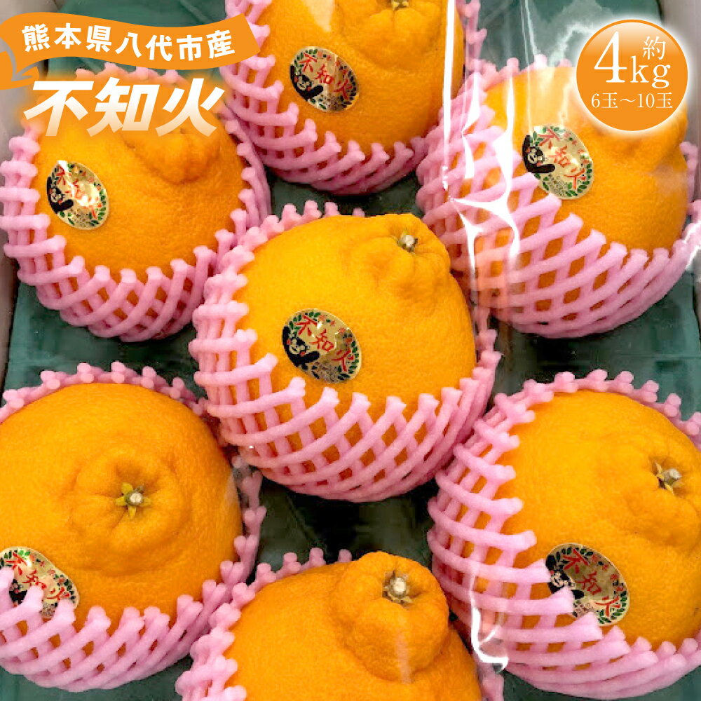 【ふるさと納税】【先行予約】2023年12月下旬発送開始 熊本県 八代市 産 不知火 6玉～10玉 約4kg 予約 蜜柑 しらぬい ミカン ポンカン 送料無料のサムネイル