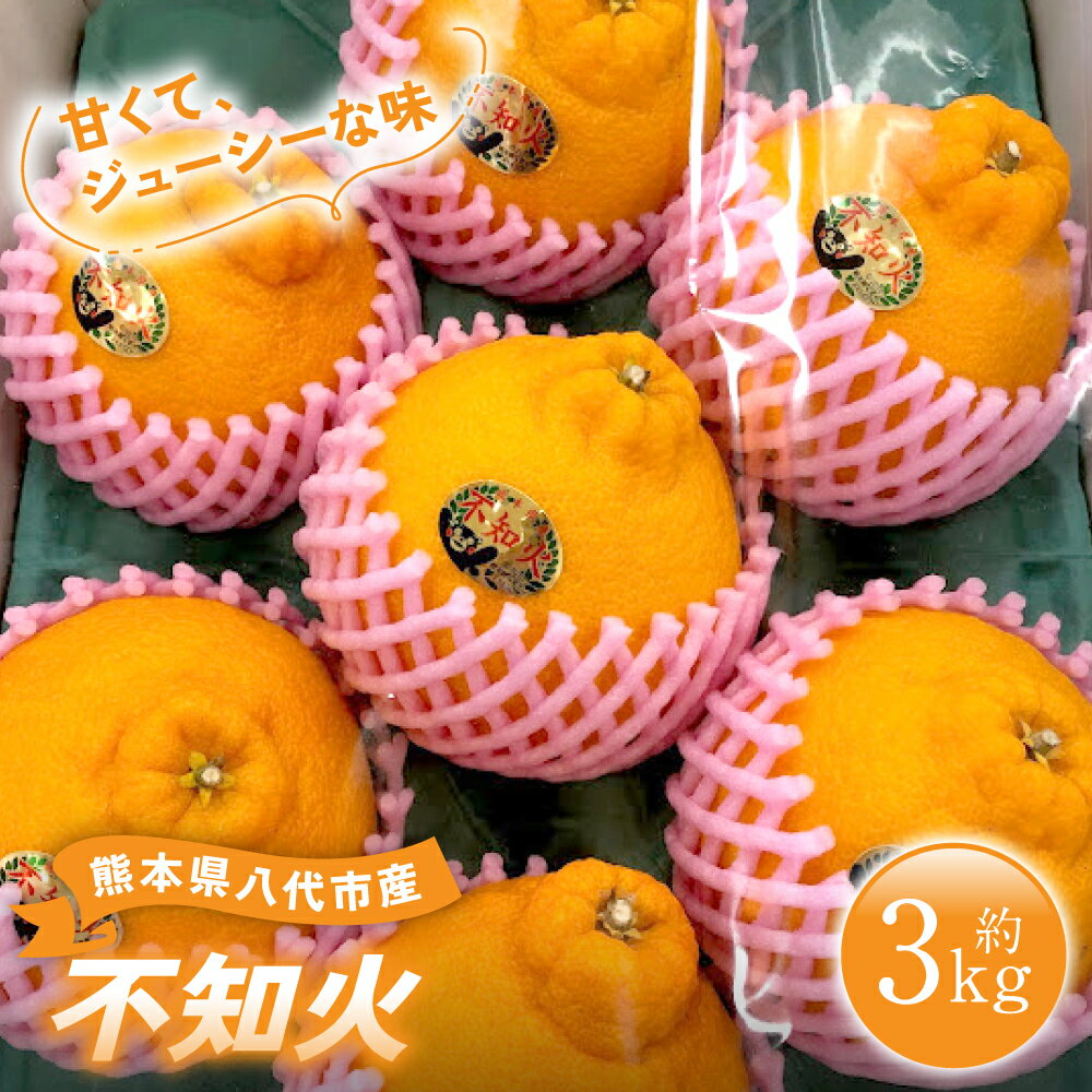 【ふるさと納税】 【先行予約】 熊本県 八代市産 不知火 （しらぬい） 約3kg 蜜柑 ミカン みかん ポンカン 果物 フルーツ 送料無料 【2026年1月中旬より順次発送】