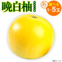 【ふるさと納税】 【選べる玉数】 晩白柚 ばんぺいゆ 2Lサイズ 1~5玉 1玉あたり約2kg 化粧箱入り 果物 くだもの フルーツ 柑橘 贈り物 期間限定 お正月飾り 柑橘の香り 爽やかな甘味 爽やかな香り 八代産 熊本県産 国産 送料無料 【2025年12月上旬より順次発送】