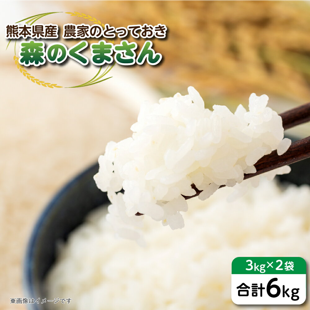 [令和5年産] 八代市産 森のくまさん 農家のとっておき 3kg×2袋 熊本県 お米 送料無料