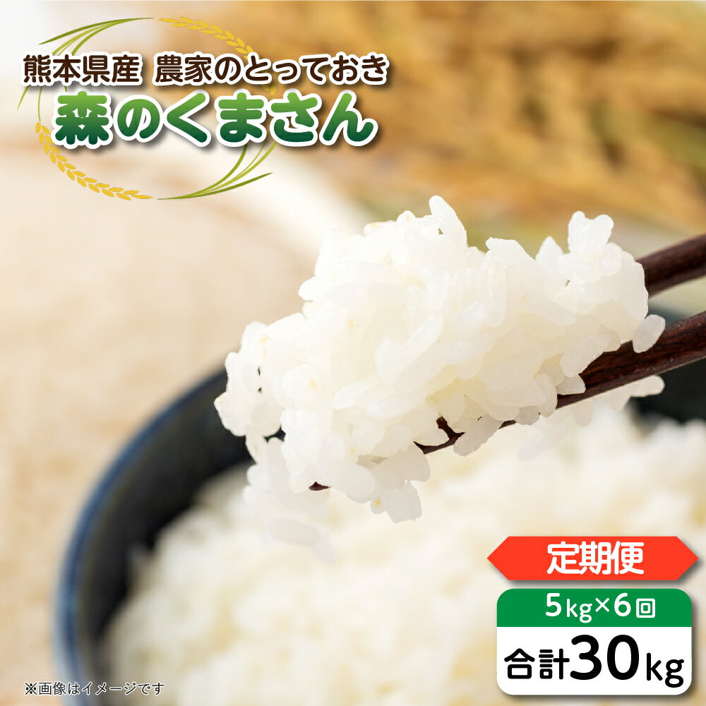 【定期便6回】 【令和5年産】 八代市産 森のくまさん 農家のとっておき 5kg×6回 熊本県 お米 送料無料