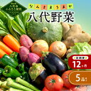 【ふるさと納税】【定期便12回】なんさまうまか 八代野菜セッ