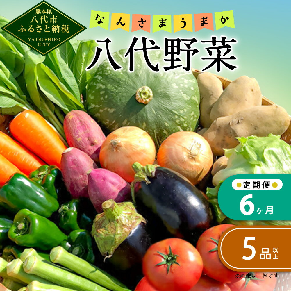 【ふるさと納税】【定期便6回】なんさまうまか 八代野菜セット 5品以上 野菜 やさい 詰め合わせ 旬の野菜 新鮮 朝採れ 八代よかとこ物産館 国産 九州産 熊本県産 送料無料