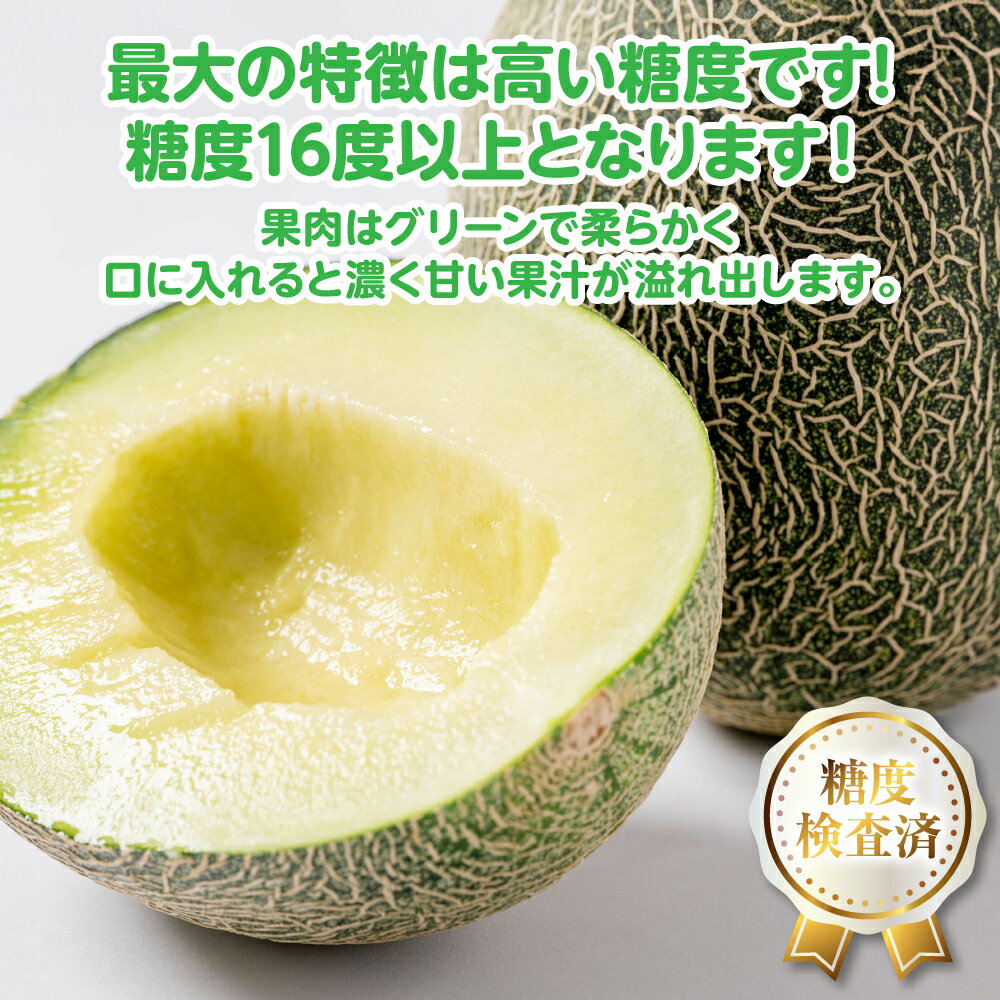 【ふるさと納税】【先行予約】高糖度 2026年 八代産 肥後グリーンメロン 3Lサイズ以上 1玉～5玉 【選べる内容量】 化粧箱入 お中元 夏 ギフト メロン めろん フルーツ 果物 熊本県 八代市 期間限定 送料無料 【2026年5月中旬より順次発送】