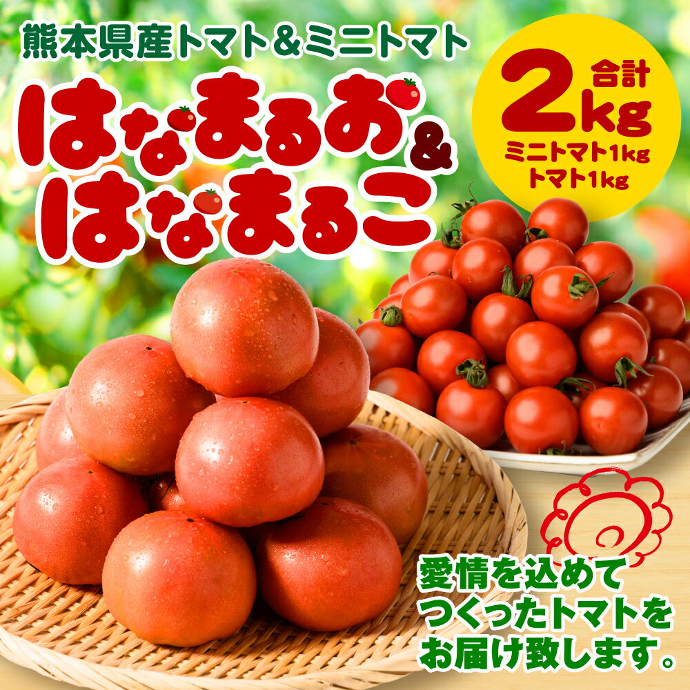 【ふるさと納税】 熊本県産 トマト 1kg ＆ ミニトマト 1kg 合計2kg はなまるお はなまるこ とまと 野菜 産地直送 八代市産 プチトマト 新鮮 青果物 農産物 サラダ 八代市産 九州 箱入り 特産品 まとめ買い 送料無料