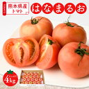【ふるさと納税】 【先行予約】 熊本県産 トマト はなまるお 4kg トマト とまと 八代市産 季節の野菜 冬トマト カプレーゼ 緑黄色野菜 アレンジレシピ 送料無料 【2025年12月中旬より順次発送】