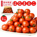 【ふるさと納税】熊本県産 ミニトマト はなまるこ 1kg トマト とまと 野菜 産地直送 プチトマト リコピン 新鮮 青果物 農産物 サラダ パスタ カプレーゼ...