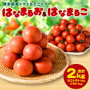 25位! 口コミ数「3件」評価「5」 熊本県産 トマト 1kg ＆ ミニトマト 1kg 合計2kg はなまるお はなまるこ とまと 野菜 産地直送 八代市産 プチトマト 新鮮 ･･･ 