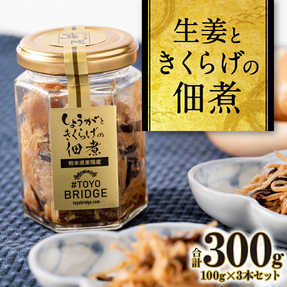 生姜ときくらげの佃煮 3本セット 調味料 セット 生姜 しょうが つくだに 惣菜 ご飯のお供 箱入り 熊本県 八代市 東陽町 送料無料