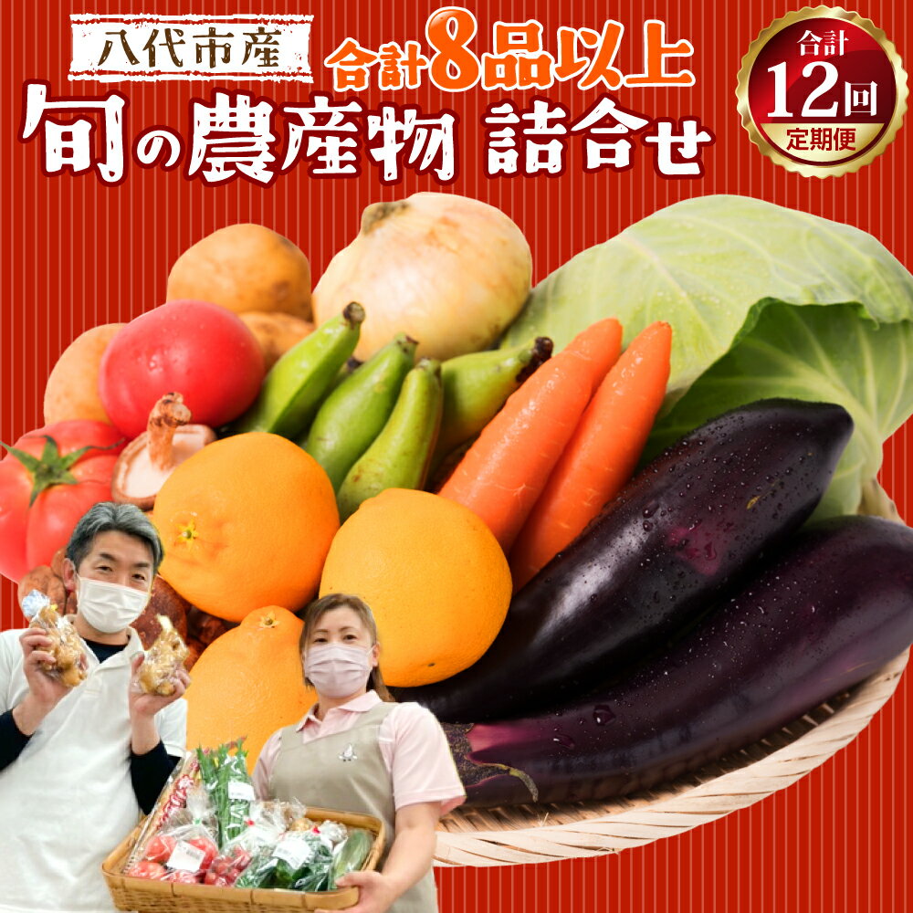 【ふるさと納税】【12ヵ月定期便】八代市産！ 旬の農産物詰合せ 復興 福袋 8品以上×12回 毎月 野菜 果実 果物 やさい くだもの フルーツ 合計8品目以上 セット 季節の野菜 季節の果実 春 夏 秋 冬 旬 おまかせ 定期 国産 熊本県産 送料無料のサムネイル