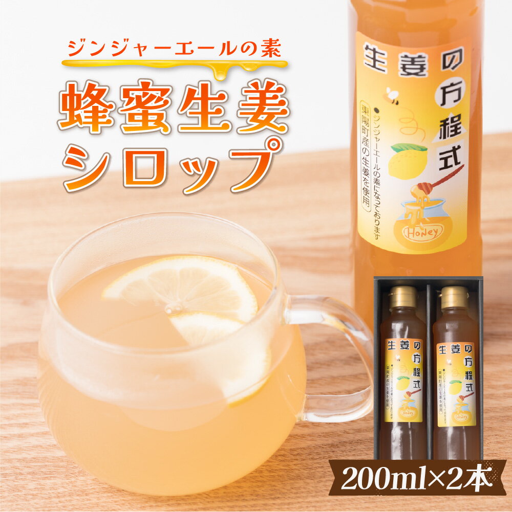 蜂蜜生姜シロップ(ジンジャーエールの素) 200ml×2本 合計400ml 生姜の方程式 シロップ ショウガ 割材 瓶 国産 熊本県 九州 送料無料