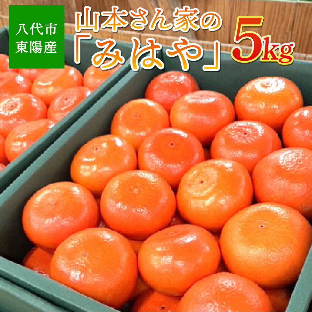 【ふるさと納税】【先行予約】八代市東陽産山本さん家の「みはや」5kg×1箱 みかん 蜜柑 ミカン みはや 柑橘 フルーツ 熊本県産 高糖度 送料無料【2025年12月上旬より順次発送】
