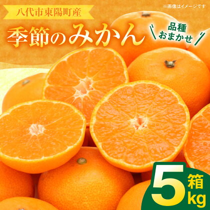 【先行予約】 八代市東陽町産の季節の みかん 5kg 箱入り ミカン 果物 おまかせ 柑橘 フルーツ 旬 お取り寄せ 国産 送料無料 【2024年9月下旬発送開始】