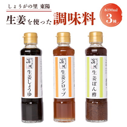 しょうがの里東陽 生姜を使った 調味料 3本 セット (190ml×3種) 詰め合わせ ショウガ 生姜シロップ 生姜ポン酢 生姜しょうゆ 鍋 熊本県 八代市 送料無料