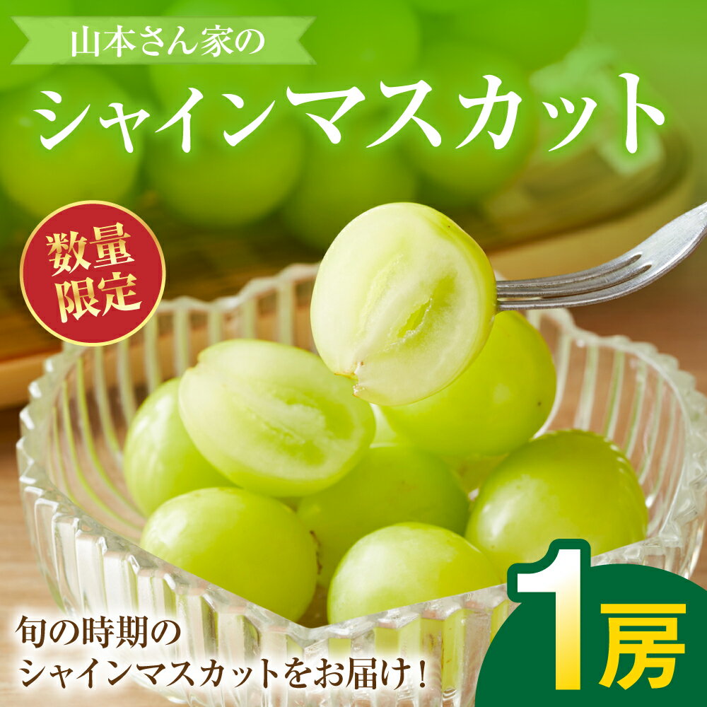 【ふるさと納税】【先行予約】 熊本県八代市産 山本さん家の「シャインマスカット」 1房入り(約500g) ぶどう フルーツ マスカット 旬 青果物 果物 新鮮 ギフト 贈り物 送料無料 【2026年8月上旬より順次発送】
