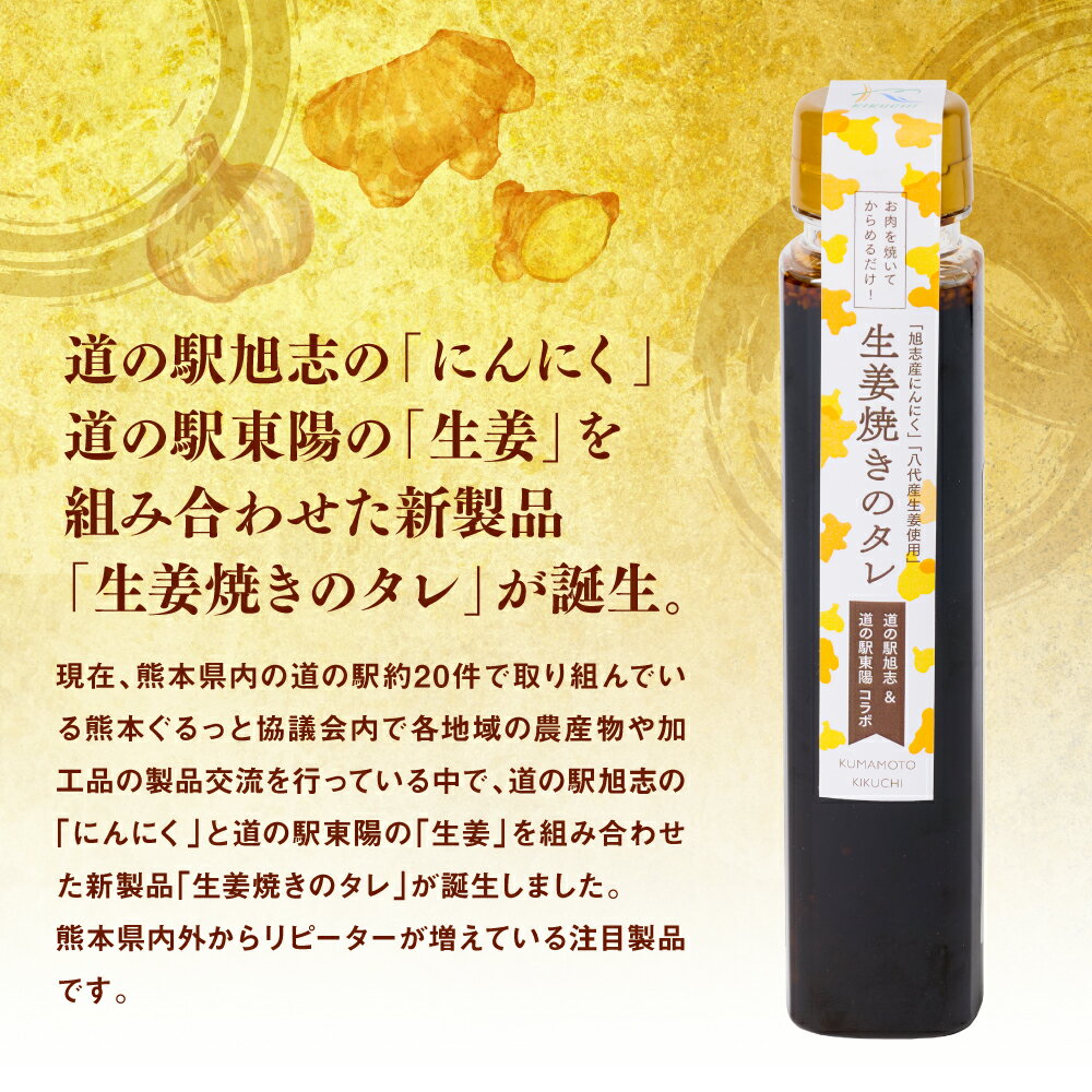 【ふるさと納税】生姜焼きのたれ 2本セット しょうが 生姜 ショウガ ジンジャー 豚肉 おかず 料理 夕飯 夕食 晩ごはん 味付 調味料 たれ タレ お弁当 生姜焼き しょうが焼き 炒め物 焼肉のタレ 熊本 八代 送料無料