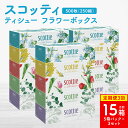 【ふるさと納税】 \レビューキャンペーン開催中/ 【定期便3回】【毎月お届け】【スコッティ】ティシュー フラワーボックス 250組 5箱パック×3セット 合計1...
