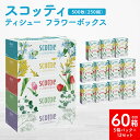 【ふるさと納税】【スコッティ】 ティシュー フラワーボックス 250組(5箱パック×12 合計60箱) ティッシュ 日用品 生活必需品 コンパクト 防災備蓄 ロ...