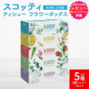 【ふるさと納税】\レビューキャンペーン開催中/【スコッティ】ティシュー フラワーボックス 250組(5箱パック×1セット 合計5箱)ティッシュ 日用品 生活必需...
