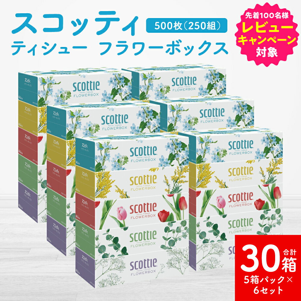 【ふるさと納税】＼レビューキャンペーン開催中／【スコッティ】ティシュー フラワーボックス 250組 5箱パック×6セット 合計30箱 ティッシュ 日用品 生活必需品 消耗品 紙 まとめ買い 備蓄 防災備蓄 デザインボックスのサムネイル