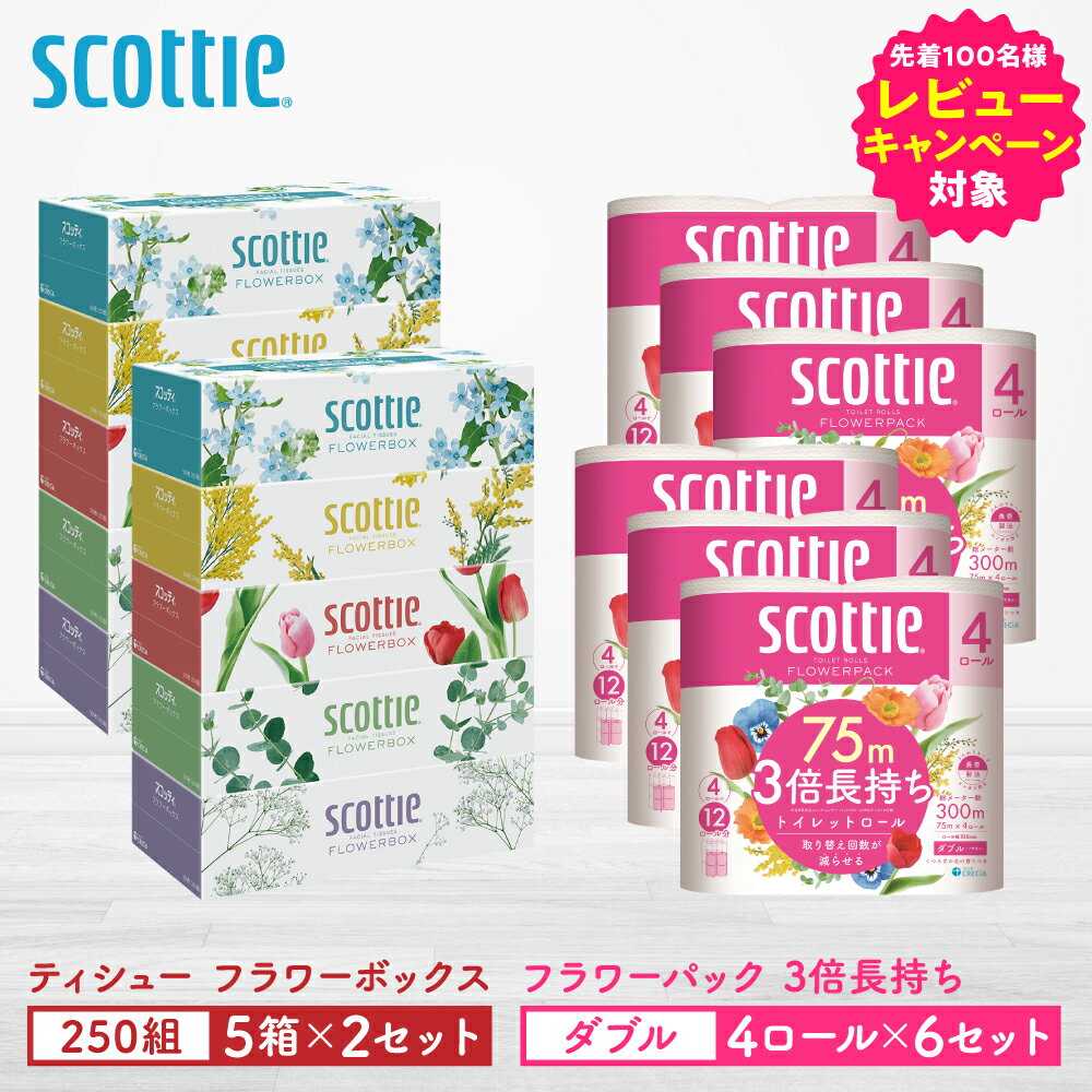 ＼レビューキャンペーン開催中/[スコッティ]ティシュー フラワーボックス 250組(5箱パック×2セット)+フラワーパック 3倍長持ち(4ロール(ダブル)パックx6セット)ティッシュ トイレットペーパー 日用品 送料無料