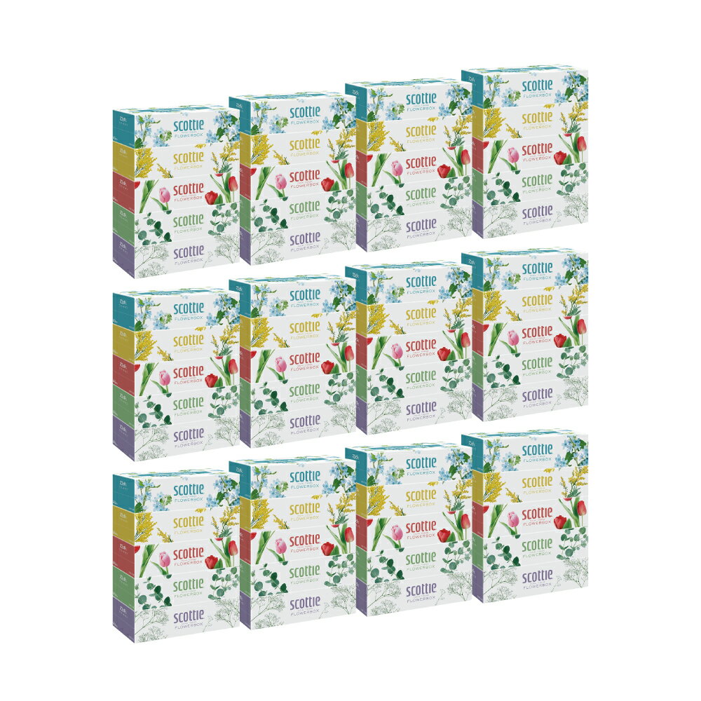 【ふるさと納税】【定期便2回】【3ヶ月に1回お届け】【スコッティ】ティシュー フラワーボックス 250組 5箱パック×12セット 合計60箱 ティッシュ 日用品 生活必需品 送料無料