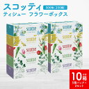【ふるさと納税】【スコッティ】ティシュー フラワーボックス 250組 5箱パック×2セット 合計10箱 ティッシュ 日用品 生活必需品 送料無料