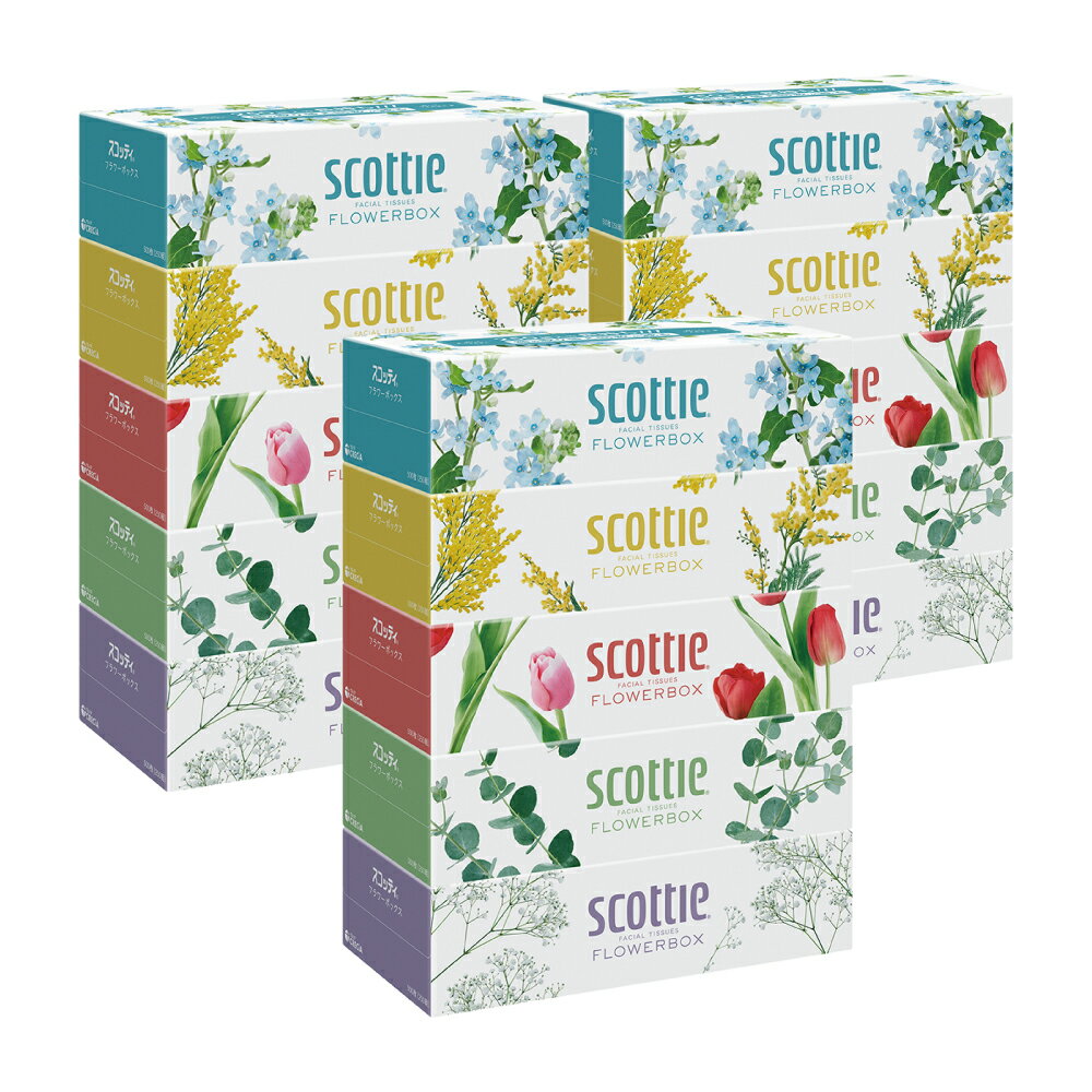 【ふるさと納税】【スコッティ】ティシュー フラワーボックス 250組 5箱パック×3セット 合計15箱 ティッシュ 日用品 生活必需品 消耗品 紙 まとめ買い 備蓄 防災備蓄 デザインボックス