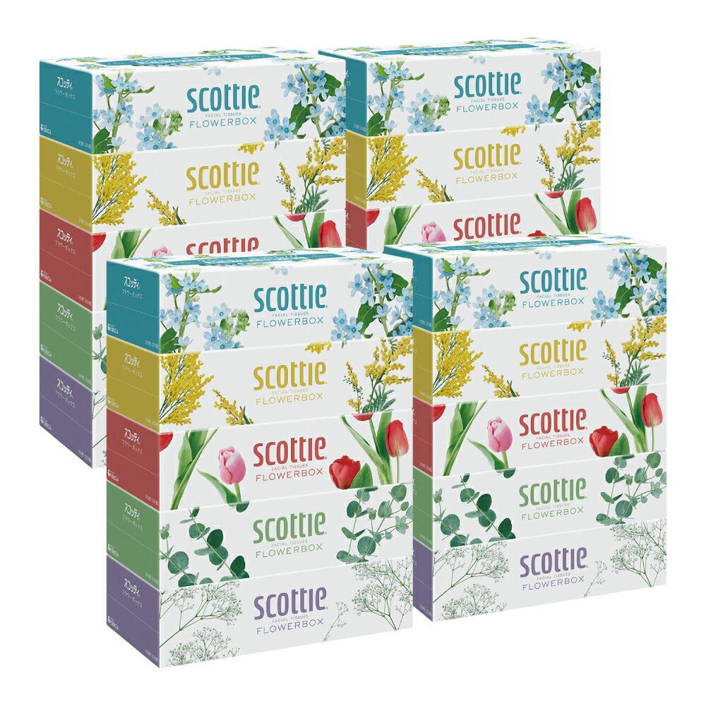 【ふるさと納税】【スコッティ】ティシュー フラワーボックス 250組 5箱パック×4セット 合計20箱 ティッシュ 日用品 生活必需品 消耗品 紙 まとめ買い 備蓄 防災備蓄 デザインボックス