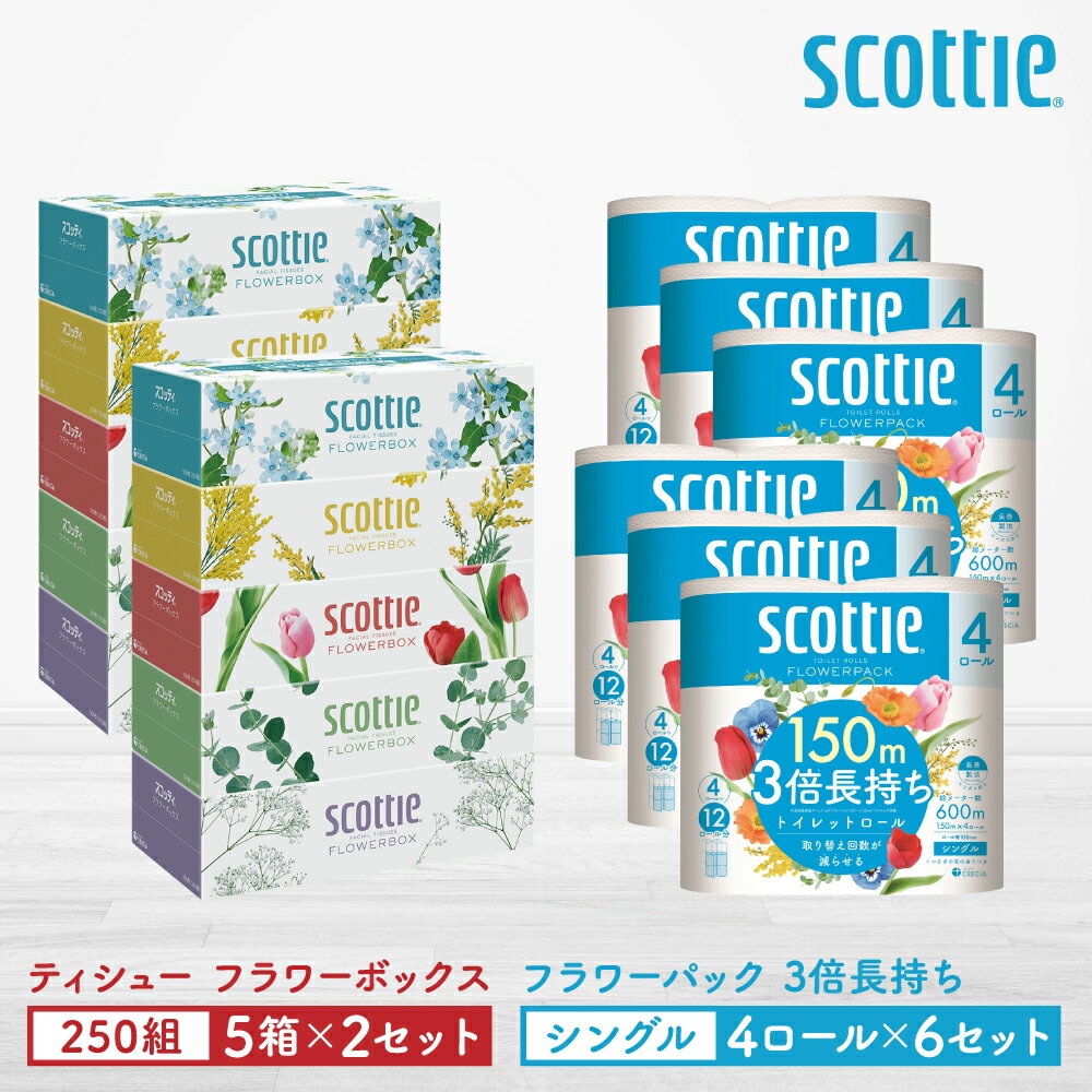 ＼レビューキャンペーン開催中/[スコッティ]ティシュー フラワーボックス 250組(5箱パック×2セット)+フラワーパック 3倍長持ち(4ロール(シングル)パックx6セット)ティッシュ トイレットペーパー 日用品 送料無料