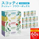 【ふるさと納税】【定期便2回】【6ヶ月に1回お届け】【スコッティ】ティシュー フラワーボックス 250組 5箱パック×12セット 合計60箱 ティッシュ 日用品...