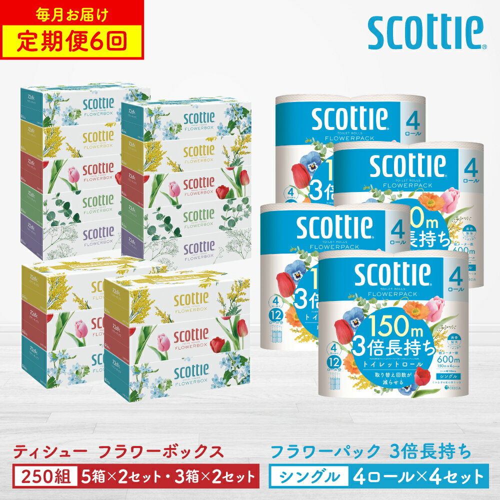 [定期便6回] [毎月お届け] [スコッティ] ティシュー フラワーボックス 250組(5箱パック×2セット・3箱パック×2セット)+フラワーパック 3倍長持ち(4ロール(シングル)パックx4セット) 日用品 ストック 送料無料