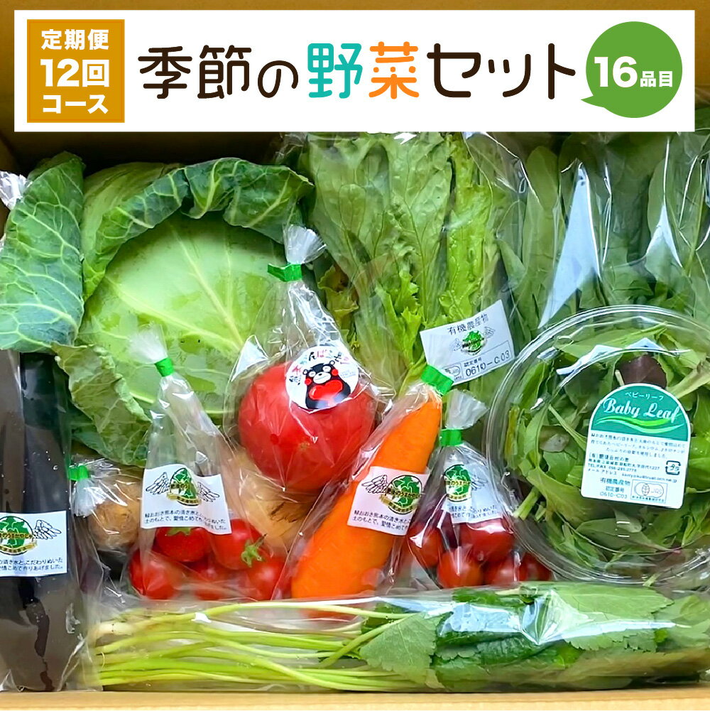 5位! 口コミ数「0件」評価「0」【定期便12回】季節の野菜セット 16品目 毎月1回 計12回 ベジタブル 詰め合わせ 野菜定期便 新鮮 国産 九州産 熊本県産 送料無料