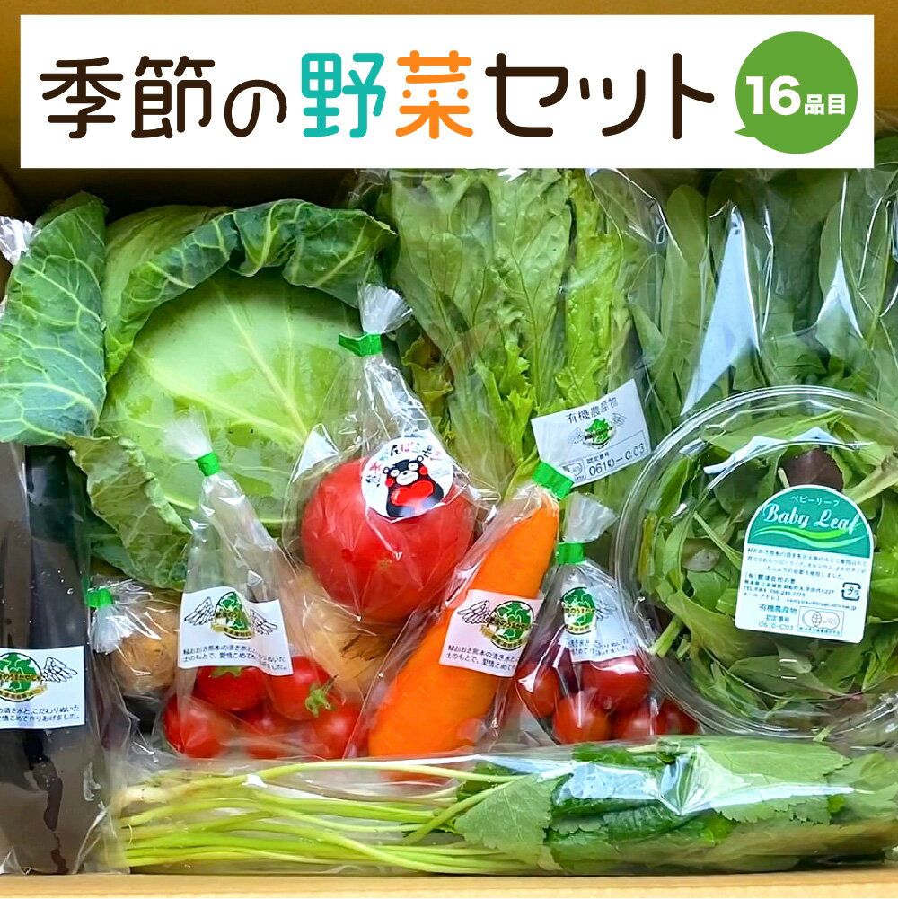 季節の 野菜 セット 16品目 ベジタブル 詰め合わせ 新鮮 国産 九州産 熊本県産 送料無料