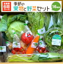 【ふるさと納税】【定期便6回】季節の 果物 と 野菜 セット