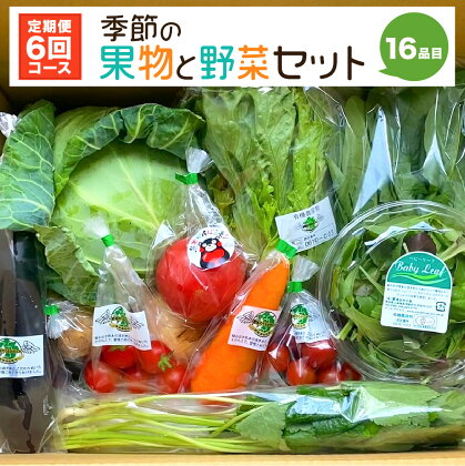 【定期便6回】季節の 果物 と 野菜 セット 16品目 毎月1回 計6回 野菜定期便 フルーツ ベジタブル 詰め合わせ 新鮮 国産 九州産 熊本県産 送料無料