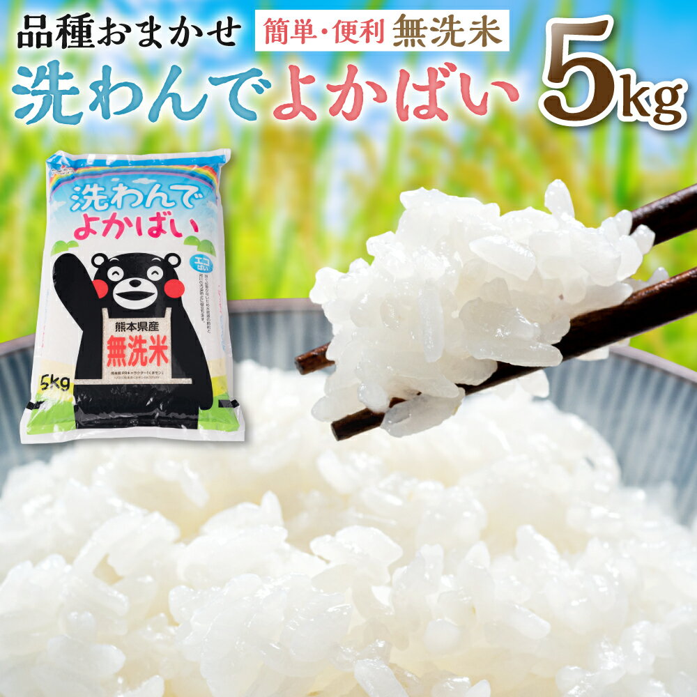 【ふるさと納税】 【令和5年産】 無洗米 洗わんでよかばい 5kg 1袋 水の都熊本の お米 とがずに炊けます! 令和5年産 熊本県産 簡単 便利 精米 白米 ご飯 送料無料