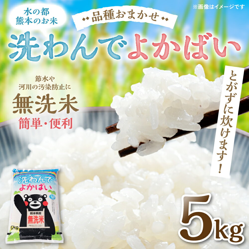 【ふるさと納税】 【令和5年産】 無洗米 洗わんでよかばい 5kg 1袋 水の都熊本の お米 とがずに炊けます! 令和5年産 熊本県産 簡単 便利 精米 白米 ご飯 送料無料