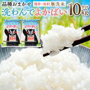 【ふるさと納税】 【令和5年産】 無洗米 洗わんでよかばい 5kg 2袋 合計10kg 水の都熊本の お米 とがずに炊けます! 熊本県産 簡単 便利 精米 白米 ご飯 送料無料