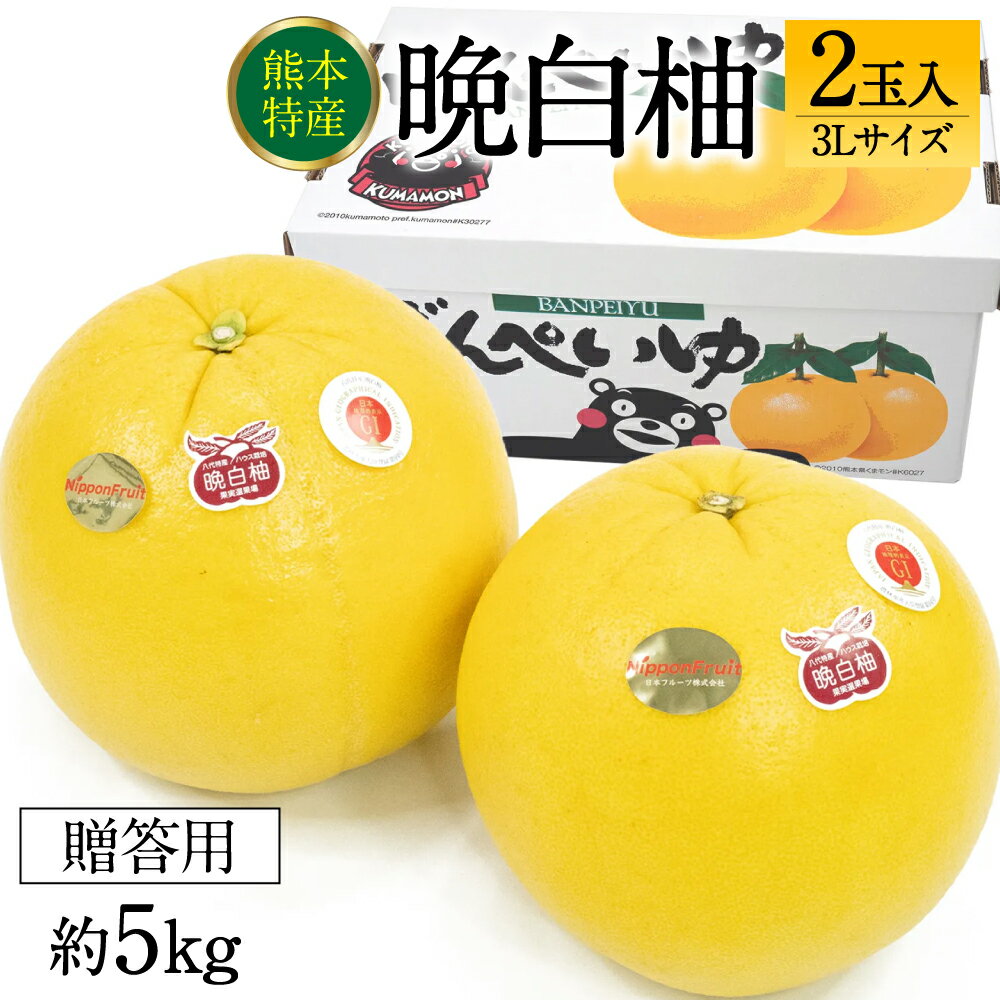 【ふるさと納税】 八代市産 晩白柚 3Lサイズ2玉入り 約5kg 果物 くだもの フルーツ 柑橘 贈り物 熊本県産 国産 送料無料