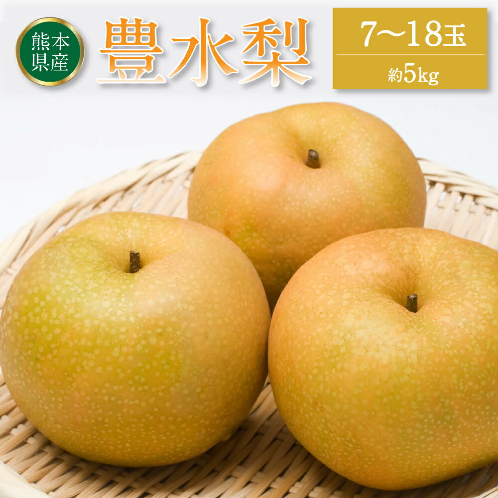【ふるさと納税】豊水梨 約5kg 7-18玉 梨 なし ナシ 豊水 果物 フルーツ 旬 期間限定 熊本県 八代市 送料無料【2023年8月上旬より順次発送開始】のサムネイル