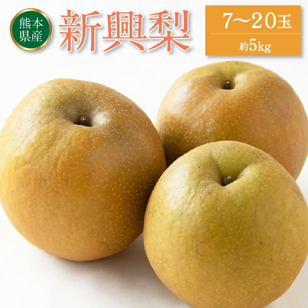 【ふるさと納税】【先行予約】 新興梨 約5kg 7-20玉 梨 なし ナシ 新興 果物 フルーツ 旬 期間限定 熊本県 八代市 送料無料【2023年10月上旬より順次発送開始】のサムネイル