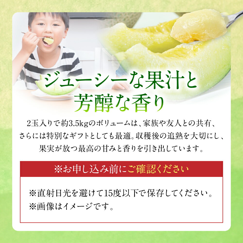 【ふるさと納税】 肥後グリーンメロン 2玉入 約3.5kg 平均糖度16度 高級青肉メロン くだもの 果物 フルーツ デザート 九州 熊本県八代市産 送料無料 3