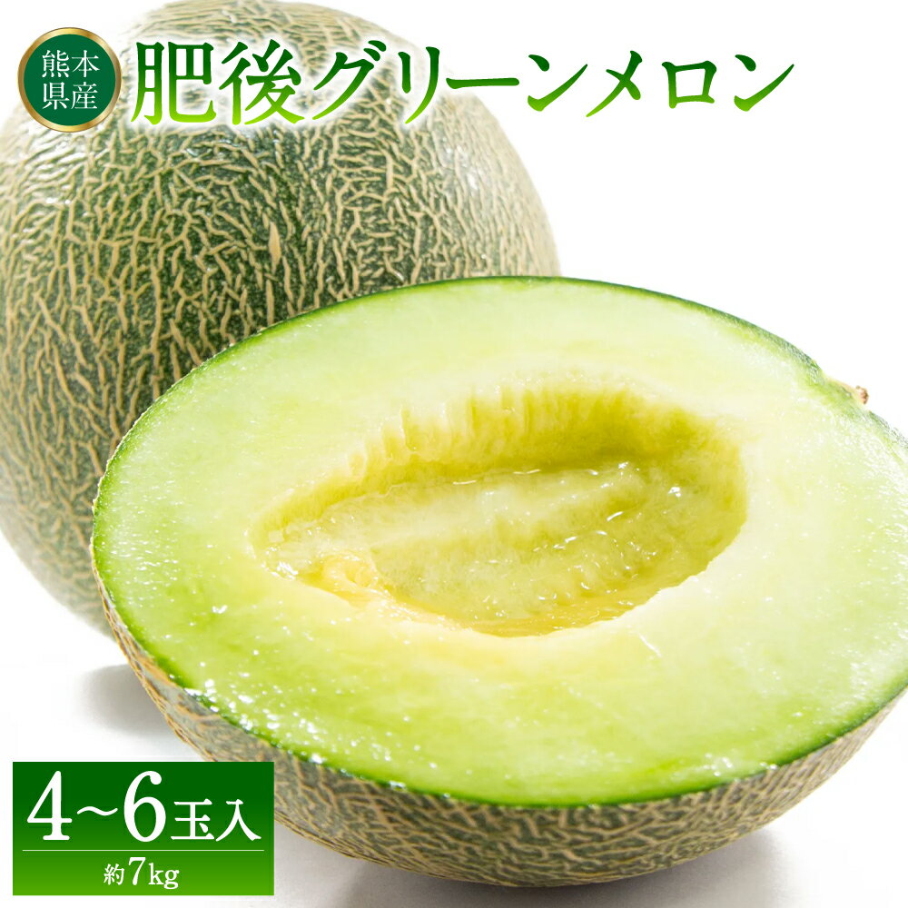 【ふるさと納税】 肥後グリーンメロン 4~6玉入 約7kg 