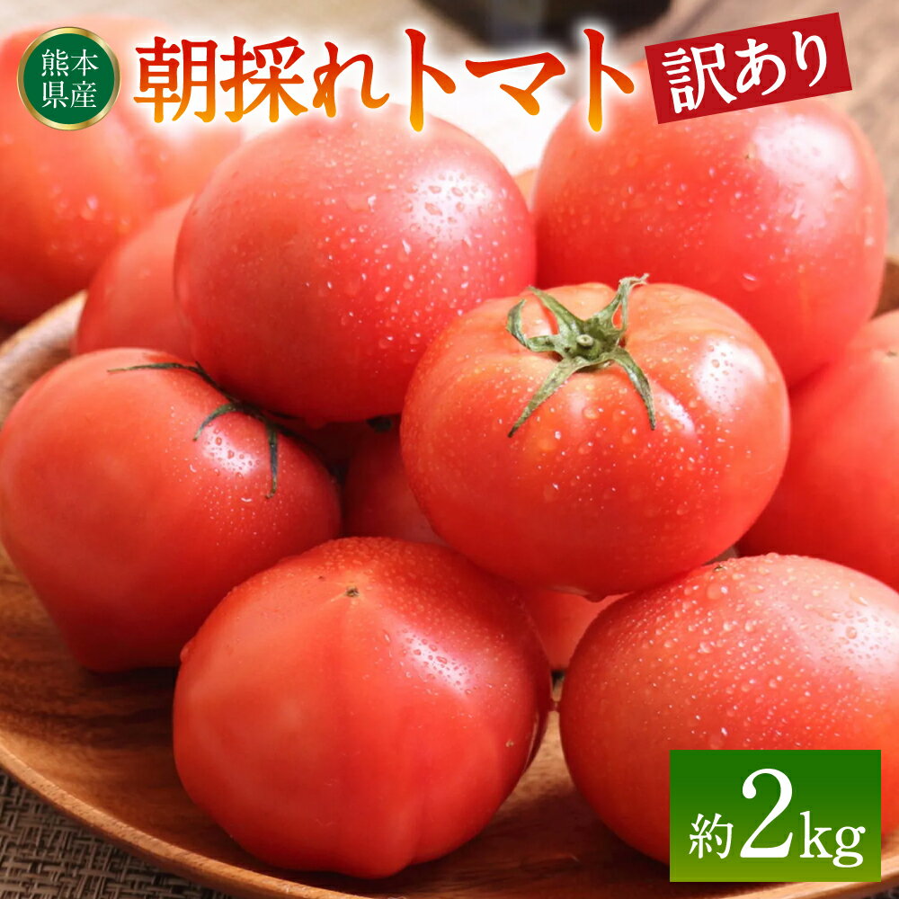 [訳あり]朝採れトマト 約2kg 熊本県 八代市産 とまと 野菜 新鮮 期間限定 国産 送料無料